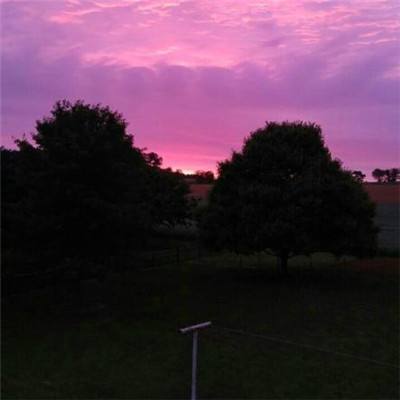 威斯尼斯wns888入